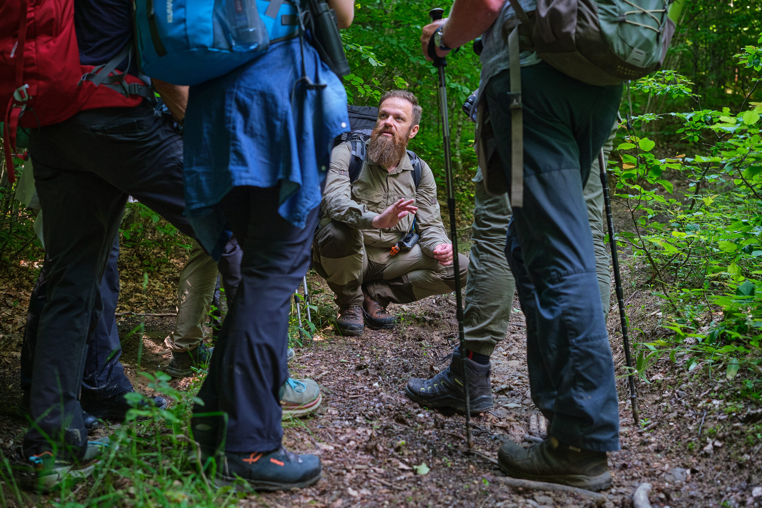 Wildlife guide showing animal tracks to tourists